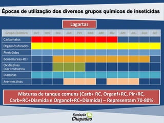 Grupo Químico OUT NOV DEZ JAN FEV MAR ABR MAI JUN JUL AGO SET
Carbamatos
Organofosforados
Piretróides
Benzoilureas-RCI
Oxidiazinas
Diacilhidrazina
Diamidas
Avermectinas
Épocas de utilização dos diversos grupos químicos de inseticidas
Lagartas
Misturas de tanque comuns (Carb+ RC, Organf+RC, Pir+RC,
Carb+RC+Diamida e Organof+RC+Diamida) – Representam 70-80%
 