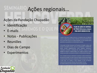Ações regionais…
Ações da Fundação Chapadão
• Identificação
• E-mails
• Notas - Publicações
• Reuniões
• Dias de Campo
• Experimentos
 