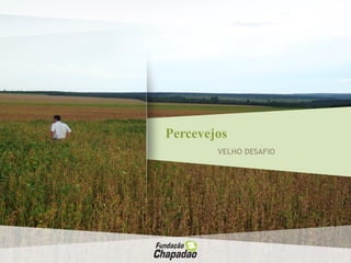 Percevejos
VELHO DESAFIO
 