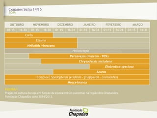 Cenários Safra 14/15
OUTUBRO NOVEMBRO DEZEMBRO JANEIRO FEVEREIRO MARÇO
01-15 16-30 01-15 16-30 01-15 16-31 01-15 16-31 01-15 16-28 01-15 16-31
Corós
Elasmo
Heliothis virescens
-----------------------------------Helicoverpa-----------------------------
Percevejos (marrom – 90%)
Chrysodeixis includens
Diabrotica speciosa
Ácaros
Complexo Spodopteras (eridania - frugiperda – cosmioides)
Mosca-branca
 