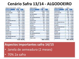 Aspectos importantes safra 14/15
• Janela de semeadura (2 meses)
• 70% 2a safra
Cenário Safra 13/14 - ALGODOEIRO
 
