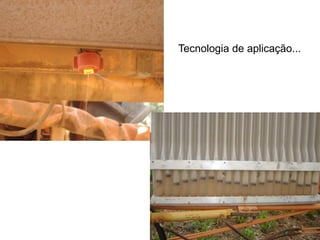 Tecnologia de aplicação...
 