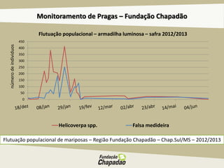 Monitoramento de Pragas – Fundação Chapadão
Flutuação populacional de mariposas – Região Fundação Chapadão – Chap.Sul/MS – 2012/2013
0
50
100
150
200
250
300
350
400
450
Helicoverpa spp. Falsa medideira
númerodeindividuos
Flutuação populacional – armadilha luminosa – safra 2012/2013
 