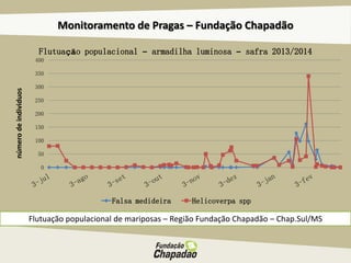 Monitoramento de Pragas – Fundação Chapadão
Flutuação populacional de mariposas – Região Fundação Chapadão – Chap.Sul/MS
númerodeindividuos
0
50
100
150
200
250
300
350
400
Flutuação populacional – armadilha luminosa – safra 2013/2014
Falsa medideira Helicoverpa spp
 