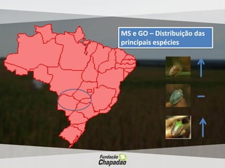 Manejo de Insetos nas cultura de soja, milho e algodão na Região de Goiás e Mato Grosso do Sul: realidade e preocupações