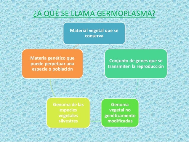 Germoplasma