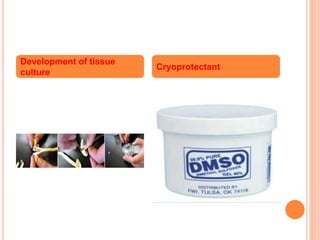 Development of tissue
culture
Cryoprotectant
 