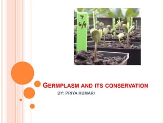 GERMPLASM AND ITS CONSERVATION
BY: PRIYA KUMARI
 