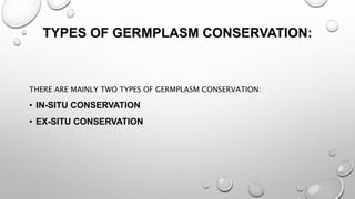 TYPES OF GERMPLASM CONSERVATION:
THERE ARE MAINLY TWO TYPES OF GERMPLASM CONSERVATION:
• IN-SITU CONSERVATION
• EX-SITU CONSERVATION
 