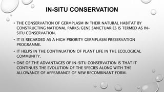 IN-SITU CONSERVATION
• THE CONSERVATION OF GERMPLASM IN THEIR NATURAL HABITAT BY
CONSTRUCTING NATIONAL PARKS/GENE SANCTUARIES IS TERMED AS IN-
SITU CONSERVATION.
• IT IS REGARDED AS A HIGH PRIORITY GERMPLASM PRESERVATION
PROGRAMME.
• IT HELPS IN THE CONTINUATION OF PLANT LIFE IN THE ECOLOGICAL
COMMUNITY.
• ONE OF THE ADVANTAGES OF IN-SITU CONSERVATION IS THAT IT
CONTINUES THE EVOLUTION OF THE SPECIES ALONG WITH THE
ALLOWANCE OF APPEARANCE OF NEW RECOMBINANT FORM.
 
