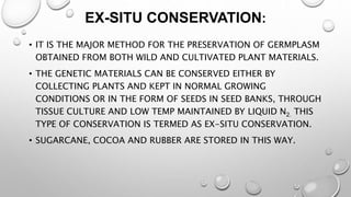 EX-SITU CONSERVATION:
• IT IS THE MAJOR METHOD FOR THE PRESERVATION OF GERMPLASM
OBTAINED FROM BOTH WILD AND CULTIVATED PLANT MATERIALS.
• THE GENETIC MATERIALS CAN BE CONSERVED EITHER BY
COLLECTING PLANTS AND KEPT IN NORMAL GROWING
CONDITIONS OR IN THE FORM OF SEEDS IN SEED BANKS, THROUGH
TISSUE CULTURE AND LOW TEMP MAINTAINED BY LIQUID N2. THIS
TYPE OF CONSERVATION IS TERMED AS EX-SITU CONSERVATION.
• SUGARCANE, COCOA AND RUBBER ARE STORED IN THIS WAY.
 