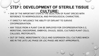 STEP I: DEVELOPMENT OF STERILE TISSUE
CULTURE:
• ONE OF THE IMPORTANT STEPS IS THE SELECTION OF PLANT SPECIES WITH
REFERENCE TO MORPHOLOGICAL AND PHYSIOLOGICAL CHARACTERS .
• IT DIRECTLY INFLUENCE THE ABILITY OF EXPLANT TO SURVIVE
CRYOPRESERVATION.
• ANY TISSUE FROM A PLANT CAN BE EMPLOYED FOR CRYOPRESERVATION E.G.
MERISTEMS, ENDOSPERMS, EMBRYOS, OVULES, SEEDS, CULTURED PLANT CELLS,
CALLUSES, PROTOPLASTS.
• OUT OF THESE, MERISTEMATIC CELLS AND SUSPENSION CELL CULTURES WHICH
ARE IN THE LATE LAG PHASE OR LOG PHASE ARE MOST APPROPRIATE.
 