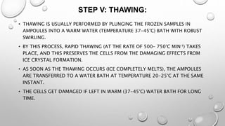 STEP V: THAWING:
• THAWING IS USUALLY PERFORMED BY PLUNGING THE FROZEN SAMPLES IN
AMPOULES INTO A WARM WATER (TEMPERATURE 37-45°C) BATH WITH ROBUST
SWIRLING.
• BY THIS PROCESS, RAPID THAWING (AT THE RATE OF 500- 750°C MIN-1) TAKES
PLACE, AND THIS PRESERVES THE CELLS FROM THE DAMAGING EFFECTS FROM
ICE CRYSTAL FORMATION.
• AS SOON AS THE THAWING OCCURS (ICE COMPLETELY MELTS), THE AMPOULES
ARE TRANSFERRED TO A WATER BATH AT TEMPERATURE 20-25°C AT THE SAME
INSTANT.
• THE CELLS GET DAMAGED IF LEFT IN WARM (37-45°C) WATER BATH FOR LONG
TIME.
 