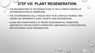 STEP VIII: PLANT REGENERATION:
• THE REGENERATION OF THE DESIRED PLANT IS THE ULTIMATE PURPOSE OF
CRYOPRESERVATION OF GERMPLASM.
• THE CRYOPRESERVED CELLS/TISSUES HAVE TO BE CAREFULLY NURSED, AND
GROWN FOR APPROPRIATE PLANT GROWTH AND REGENERATION .
• ALONG WITH MAINTENANCE OF PROPER ENVIRONMENTAL CONDITIONS,
ADDITION OF CERTAIN GROWTH PROMOTING SUBSTANCES IS OFTEN ESSENTIAL
FOR SUCCESSFUL PLANT REGENERATION.
 