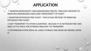 APPLICATION
1 MAINITIN BIODIVERSITY AND ENDANGERED SPECIES-ITBIS EASY METHOD TO
MAINTAIN ENDANGERED AND GENET BIODIVERSITY OF PLANT.
2 MAINTAIN PATHOGEN FREE PLANT- THIS IS EASY METHOD TO MAINTAIN
PATHOGEN FREE PLANT.
3 EASY TRANSPORT TO OTHER COUNTRIES- BECAUSE IT IS PATHOGEN FREE AND
NEED LITTLE SPACE FOR STORAGE AND EASY TO TRANSPORT.
4 CRYOPRESERVATION SERVE AS LARGE STORAGE AND WHEN WE NEEDED GROW
IT.
 