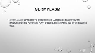 GERMPLASM
• GERMPLASM ARE LIVING GENETIC RESOURCES SUCH AS SEEDS OR TISSUES THAT ARE
MAINTAINED FOR THE PURPOSE OF PLANT BREEDING, PRESERVATION, AND OTHER RESEARCH
USES.
 