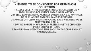 • THINGS TO BE CONSIDERED FOR GERMPLASM
COLLECTION
1 SEED & VEGETATIVE SAMPLES SHOULD BE CHECKED ON A
REGULAR BASIS FOR INSECT AND FUNGAL ATTACK.
2 IF SEED SAMPLES BEING ACTIVELY DRIED,SILICA GEL MAY HAVE
TO BE CHANGED AND DRY SAMPLES REMOVED.
3 SAMPLES OF FLESHY FRUITS IN PLASTIC BAGS WILL NEED TO BE
AERATED REGULARLY.
4 DRYING PAPERS IN HARBARIUM PRESSES MUST BE CHANGED
EVERY COUPLE OF DAYS.
5 SAMPLES MAY NEED TO BE SENT BACK TO THE GENE BANK AT
VARIOUS STAGES.
 