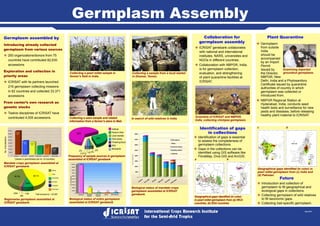 Sept 2012
Germplasm Assembly
Germplasm assembled by
Introducing already collected
germplasm from various sources
™™ 293 organizations/donors from 75
countries have contributed 82,630
accessions
Exploration and collection in
priority areas
™™ ICRISAT with its partners launched
216 germplasm collecting missions
in 62 countries and collected 33,371
accessions
From center’s own research as
genetic stocks
™™ Twelve disciplines of ICRISAT have
contributed 4,005 accessions. Scientists of ICRISAT and NBPGR,
India, collecting chickpea germplasm.
Collecting a seed sample and related
information from a farmer’s store in Mali.
Collecting a sample from a local market
in Dhamar, Yemen.
In search of wild relatives in India.
Examining imported
groundnut germplasm.
Plant Quarantine
™™ Germplasm
from outside
India
should be
accompanied
by an Import
Permit
issued by
the Director,
NBPGR, New
Delhi, India and a Phytosanitory
Certificate issued by quarantine
authorities of country in which
germplasm was collected or
introduced from.
™™ NBPGR Regional Station at
Hyderabad, India, conducts seed
health tests and surveillance for new
pests and diseases, before releasing
healthy plant material to ICRISAT.
Regionwise germplasm assembled at
ICRISAT genebank.
Institute
Farmer’s field
Local markets
Farm stores
Threshing floors
Wild
Backyards
1%
Frequency of sample sources in germplasm
assembled at ICRISAT genebank
Biological status of entire germplasm
assembled at ICRISAT genebank
Biological status of mandate crops
germplasm assembled at ICRISAT
genebank.
Identification of gaps
in collections
™™ Identification of gaps is essential
to assess the completeness of
germplasm collections.
™™ Gaps in the collections can be
identified using GIS software like
FloraMap, Diva GIS and ArcGIS.
Geographical gaps identified (in color)
in pearl millet germplasm from (a) WCA
countries, (b) ESA countries
c d
Geographical gaps identified (in color) in
pearl millet germplasm from (c) India and
(d) Pakistan.
Future
™™ Introduction and collection of
germplasm to fill geographical and
ecological gaps in collections.
™™ Collecting germplasm of wild relatives
to fill taxonomic gaps.
™™ Collecting trait-specific germplasm.
Collecting a pearl millet sample in
farmer’s field in India.
Africa
Asia
Americas
Europe
Oceania
Unknown
2064 1726
286
Total accessions: 1,20,006
48,763 58,113
9054
2% 2%
2%
0.01%
65%
28%
a b
Collaboration for
germplasm assembly
™™ ICRISAT genebank collaborates
with national and international
institutes, NARS, universities and
NGOs in different countries.
™™ Collaboration with NBPGR, India,
is for germplasm collection,
evaluation, and strengthening
of plant quarantine facilities at
ICRISAT.
Mandate crops germplasm assembled at
ICRISAT genebank.
No.ofaccessions
(Values in parentheses are no. of countries)
40,000
Sorghum
37,949
(92)
22,211
(50) 20,267
(60)
13,771
(74)
15,446
(92)
10,362
(50)
Pearl millet Chickpea Pigeonpea Groundnut Small millets
35,000
30,000
25,000
20,000
15,000
10,000
5,000
0
Landraces Others Wild relativesBreeding
material
Improved
cultivars
95731
17935
1507 2026 2807
No.ofaccessions
90000
100000
80000
70000
60000
50000
40000
30000
20000
10000
0
 