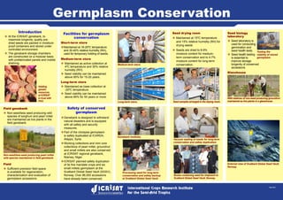 Sept 2012
Germplasm Conservation
™™ At the ICRISAT genebank, to
maximize longevity, quality pre-
dried seeds are packed in moisture-
proof containers and stored under
controlled environment.
™™ The genebank storage chambers
are constructed on a modular basis
with prefabricated panels and mobile
shelving.
Facilities for germplasm
conservation
Short-term store
™™Maintained at 18-20ºC temperature
and 30-40% relative humidity (RH),
used for temporary holding of seeds.
Medium-term store
™™ Maintained as active collection at
4ºC temperature and 30% relative
humidity (RH).
™™ Seed viability can be maintained
above 85% for 15-20 years.
Long-term store
™™ Maintained as base collection at
-20ºC temperature.
™™ Seed viability can be maintained
above 85% for 50 years or more.
Holding
genetic
resources
at ICRISAT
in trust with
FAO.
Medium-term store.
Long-term store. Seed samples arranged in the drying room.
Seed drying room
™™ Maintained at 15ºC temperature
and 15% relative humidity (RH) for
drying seeds
™™ Seeds are dried to 8-9%
moisture content for medium-
term conservation and to 4-7%
moisture content for long-term
conservation.
Testing the
viability of stored
germplasm.
Seed biology
laboratory
™™ Seed laboratory is
used for conducting
germination and
seed health tests.
™™ Seed health testing
is essential to
improve storage
longevity of conserved
accessions.
Glasshouse
Field genebank
™™ Non-seed/less seed producing wild
species of sorghum and pearl millet
are maintained as live plants in the
field genebank.
Non-seed/less-seed producing pearl millet
wild species maintained in field genebank.
Safety of conserved
germplasm
™™Genebank is designed to withstand
natural disasters and is equipped
with all safety and security
measures.
™™Part of the chickpea germplasm
is safely duplicated at ICARDA,
Aleppo, Syria.
™™Working collections and mini core
collections of pearl millet, groundnut
and small millets are also conserved
at ICRISAT regional genebank,
Niamey, Niger.
™™ICRISAT planned safety duplication
of its five mandate crops and six
small millets germplasm at the
Svalbard Global Seed Vault (SGSV),
Norway. Over 86,000 accessions
have already been conserved.
Vacuum sealing of seeds for long-term
conservation and safety duplication.
Genebank modules.
Processing seed for long-term
conservation and safety backup
at Svalbard Global Seed Vault.
Wild relatives of non-seed producing groundnut
maintained as live plants in a glasshouse.
Boxes containing seed for shipment to
Svalbard Global Seed Vault, Norway.
External view of Svalbard Global Seed Vault,
Norway.
Field
™™ Sufficient precision field space
is available for regeneration,
characterization and evaluation of
germplasm accessions.
Introduction
 