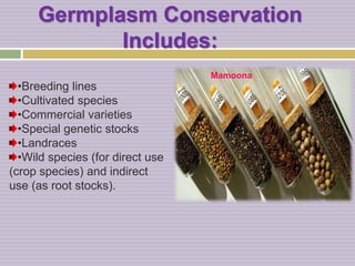 Germplasm Conservation || Presented by Mamoona Ghaffar | PPTX