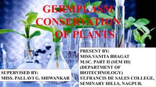 GERMPLASM
CONSERVATION
OF PLANTS
PRESENT BY:
MISS.VANITA BHAGAT
M.SC. PART II (SEM III)
(DEPARTMENT OF
BIOTECHNOLOGY)
ST.FRANCIS DE SALES COLLEGE,
SEMINARY HILLS, NAGPUR.
SUPERVISED BY:
MISS. PALLAVI G. SHIWANKAR
 