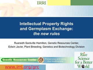 Presentation Title Goes Here
…presentation subtitle.
Intellectual Property Rights
and Germplasm Exchange:
the new rules
Ruaraidh Sackville Hamilton, Genetic Resources Center,
Edwin Javier, Plant Breeding, Genetics and Biotechnology Division
www.irri.org/grc
 