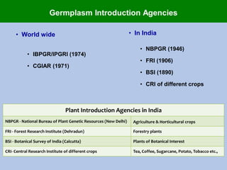 • World wide
• IBPGR/IPGRI (1974)
• CGIAR (1971)
• In India
• NBPGR (1946)
• FRI (1906)
• BSI (1890)
• CRI of different crops
Plant Introduction Agencies in India
NBPGR - National Bureau of Plant Genetic Resources (New Delhi) Agriculture & Horticultural crops
FRI - Forest Research Institute (Dehradun) Forestry plants
BSI - Botanical Survey of India (Calcutta) Plants of Botanical Interest
CRI- Central Research Institute of different crops Tea, Coffee, Sugarcane, Potato, Tobacco etc.,
 