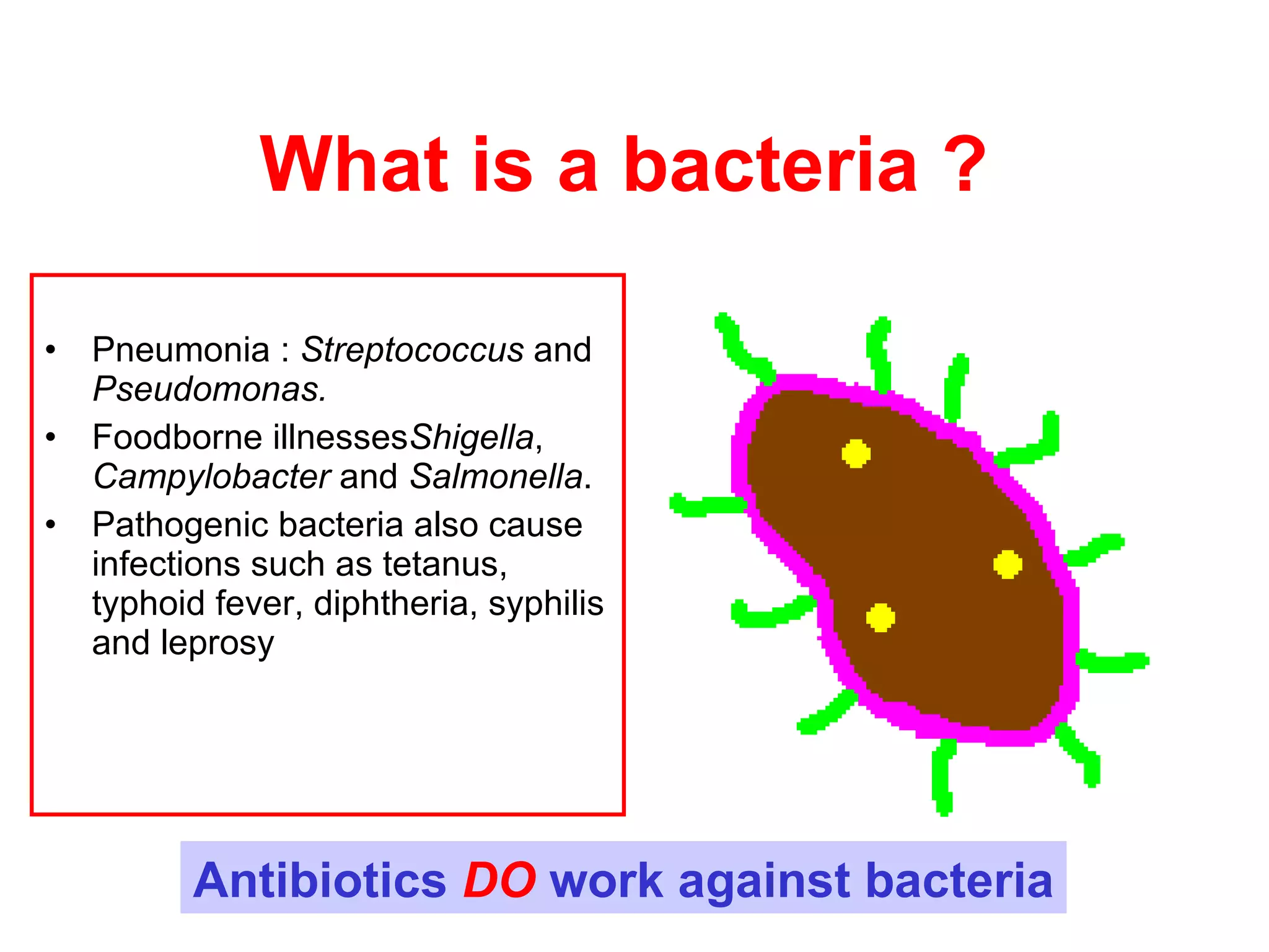 What is a bacteria ?  Pneumonia  :  Streptococcus  and  Pseudomonas . F oodborne illnesses Shigella ,  Campylobacter  and  Salmonella .  Pathogenic bacteria also cause infections such as tetanus, typhoid fever, diphtheria, syphilis and leprosy Antibiotics  DO  work against bacteria 