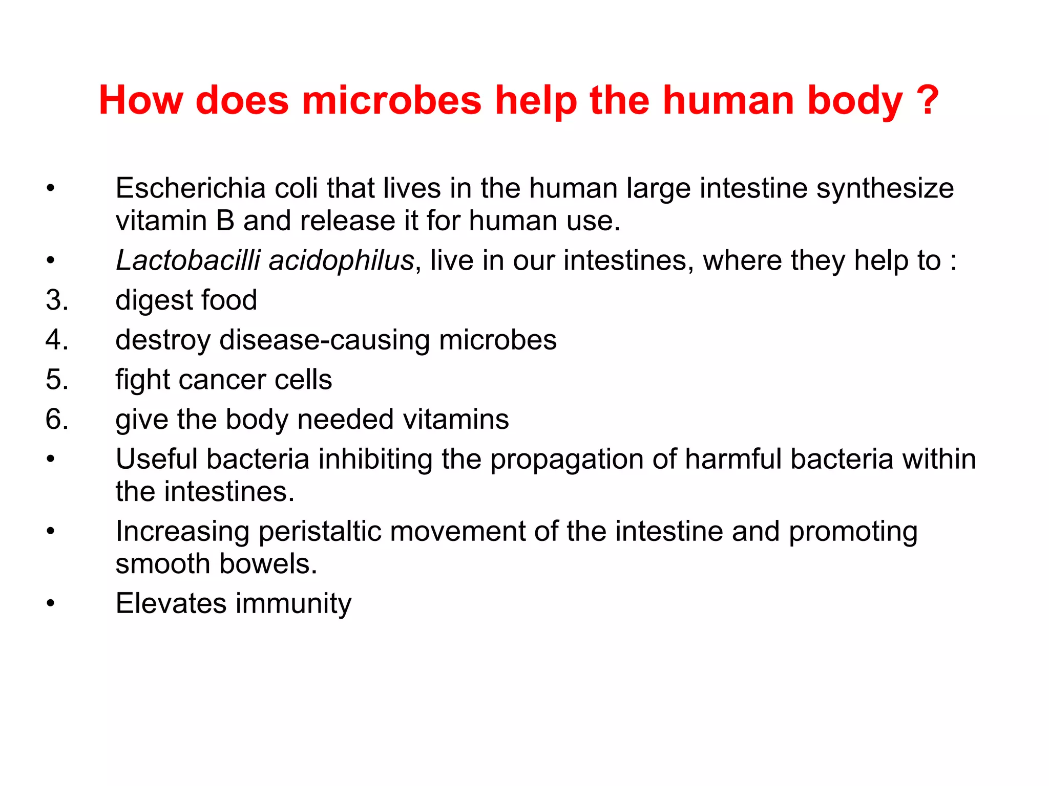 How does  microbes  help the human body   ?  Escherichia coli that lives in the human large intestine synthesize vitamin B and release it for human use. Lactobacilli acidophilus , live in our intestines, where they help to  : digest food destroy disease-causing microbes fight cancer cells give the body needed vitamins Useful bacteria  inhibiting the propagation of harmful bacteria within the intestines . I ncreasing peristaltic movement of the intest ine  and promoting smooth bowels. Elevates immunity  