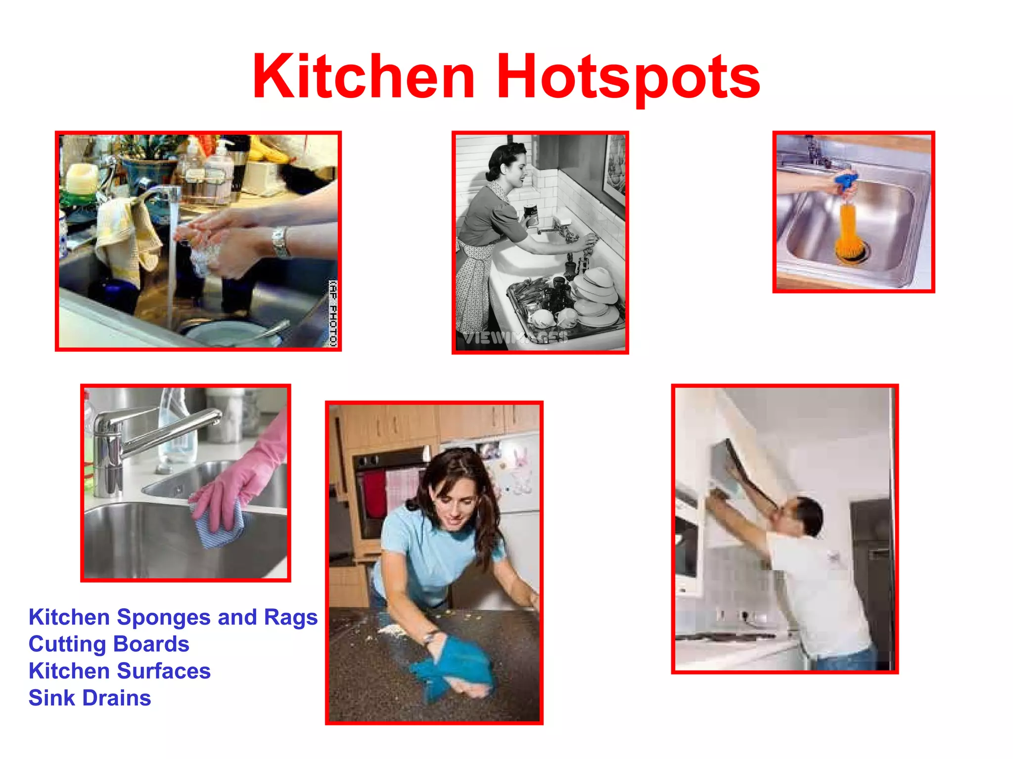 Kitchen Hotspots Kitchen Sponges and Rags Cutting Boards Kitchen Surfaces Sink Drains 