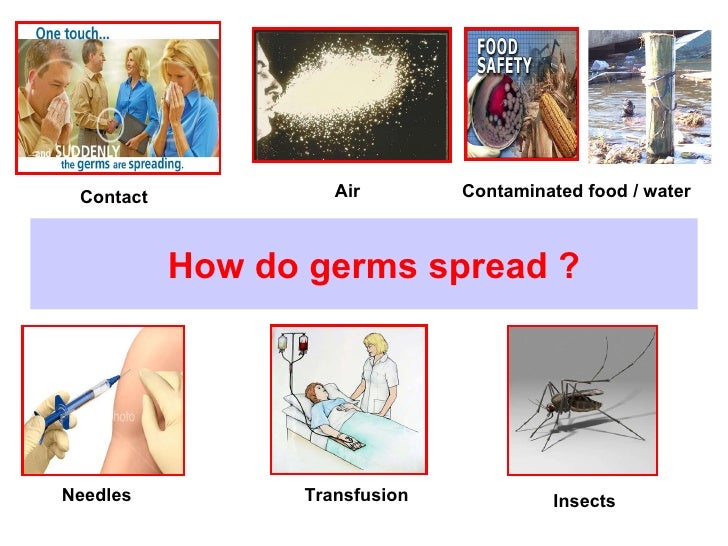 Germs In Sickness And In Health 1