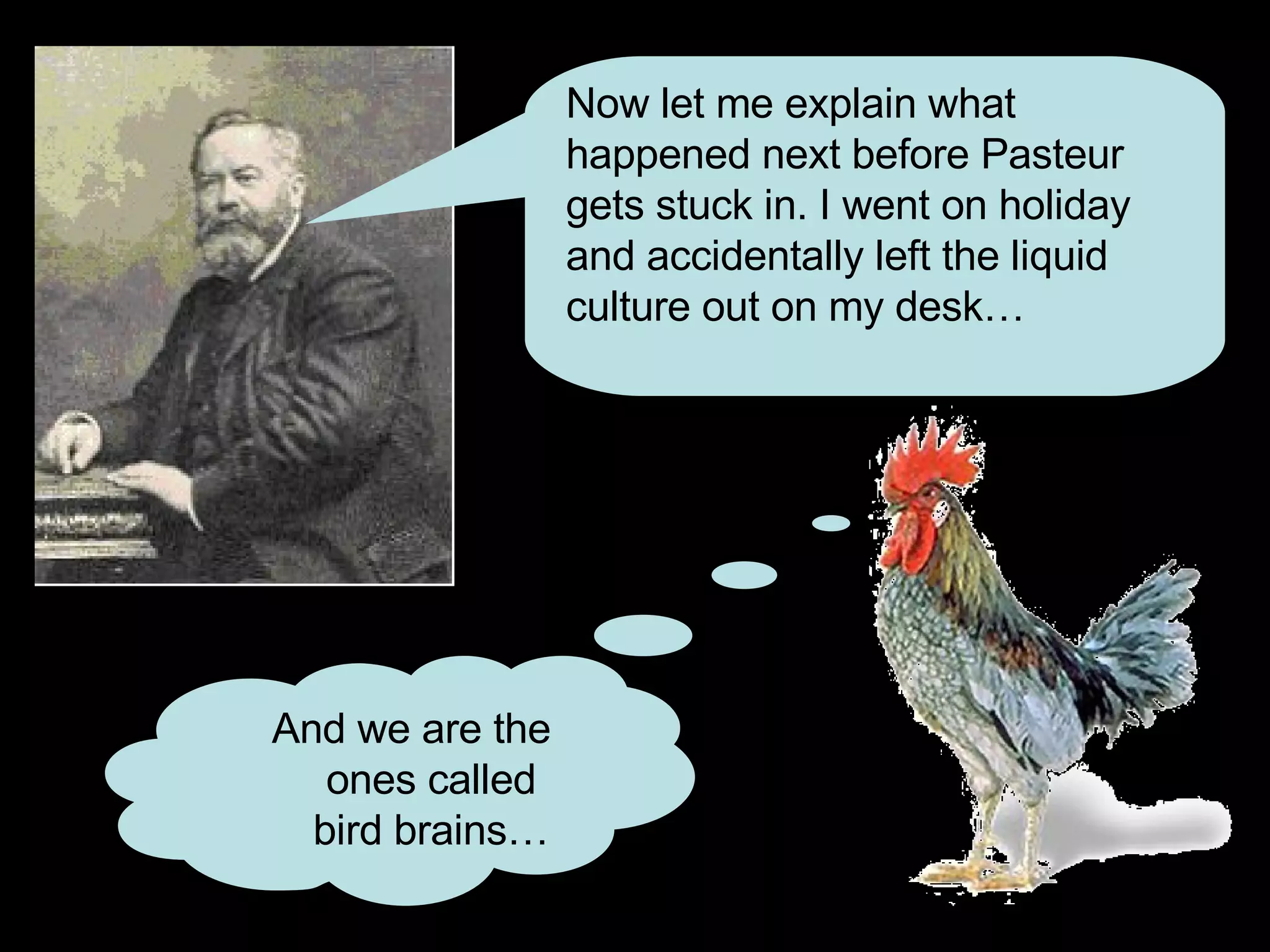 Now let me explain what happened next before Pasteur gets stuck in. I went on holiday and accidentally left the liquid culture out on my desk… And we are the ones called bird brains… 