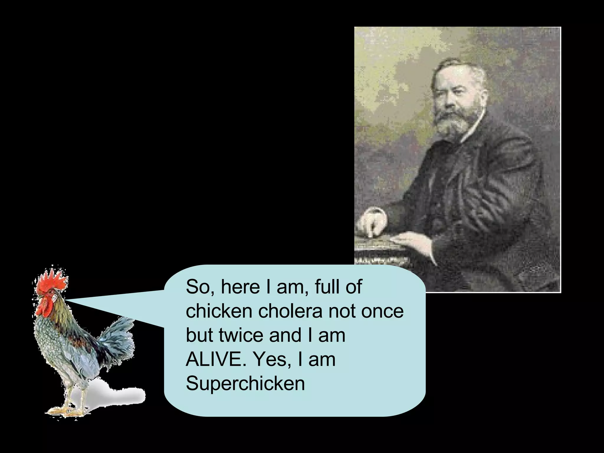 So, here I am, full of chicken cholera not once but twice and I am ALIVE. Yes, I am Superchicken 