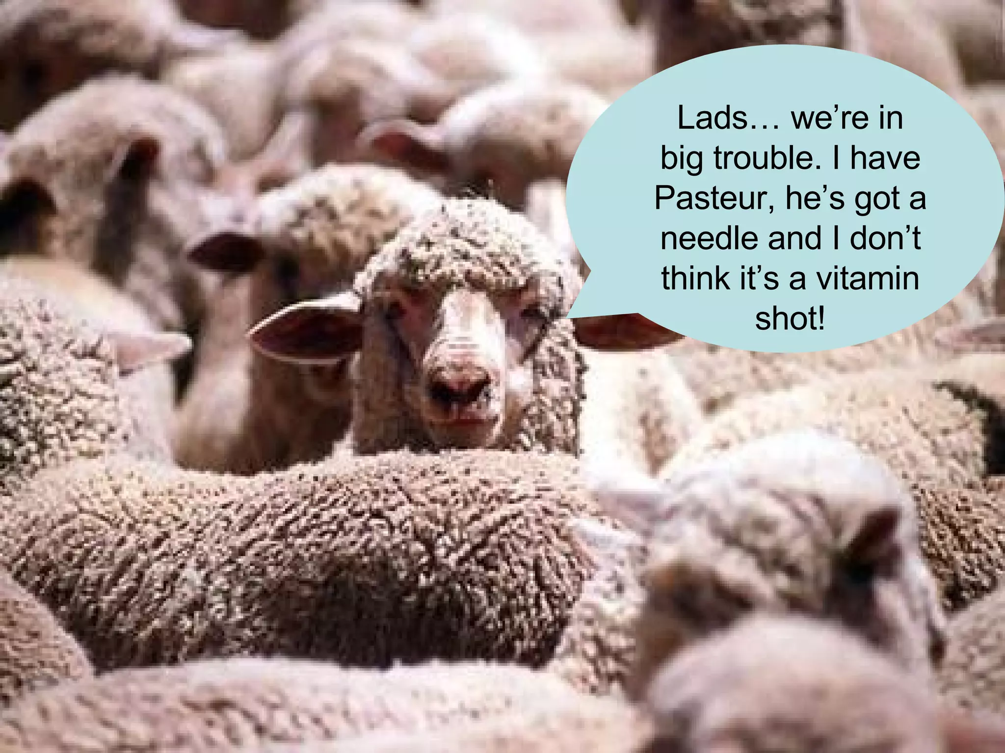Lads… we’re in big trouble. I have Pasteur, he’s got a needle and I don’t think it’s a vitamin shot! 