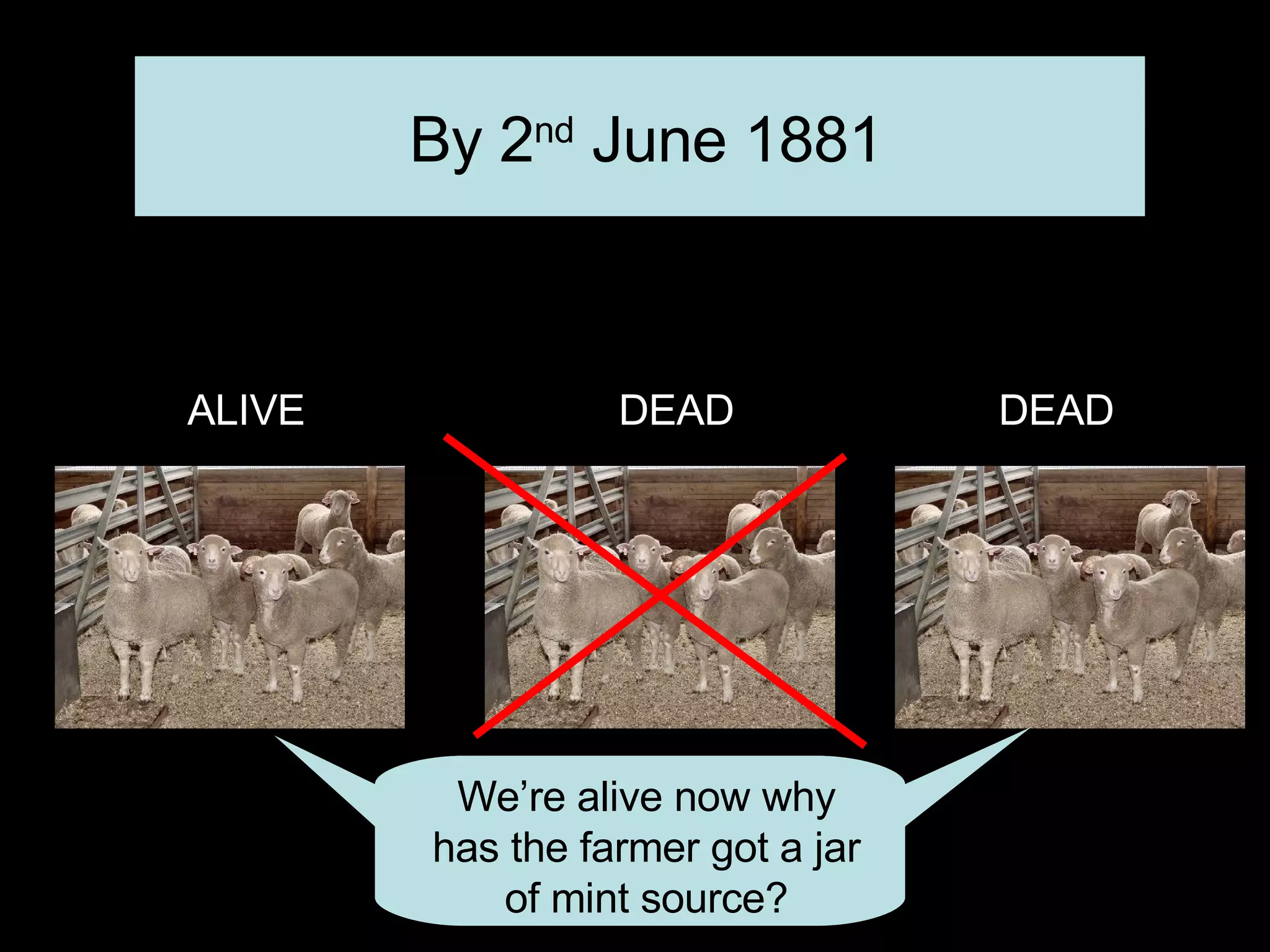 ALIVE DEAD DEAD By 2 nd  June 1881 We’re alive now why has the farmer got a jar of mint source? 