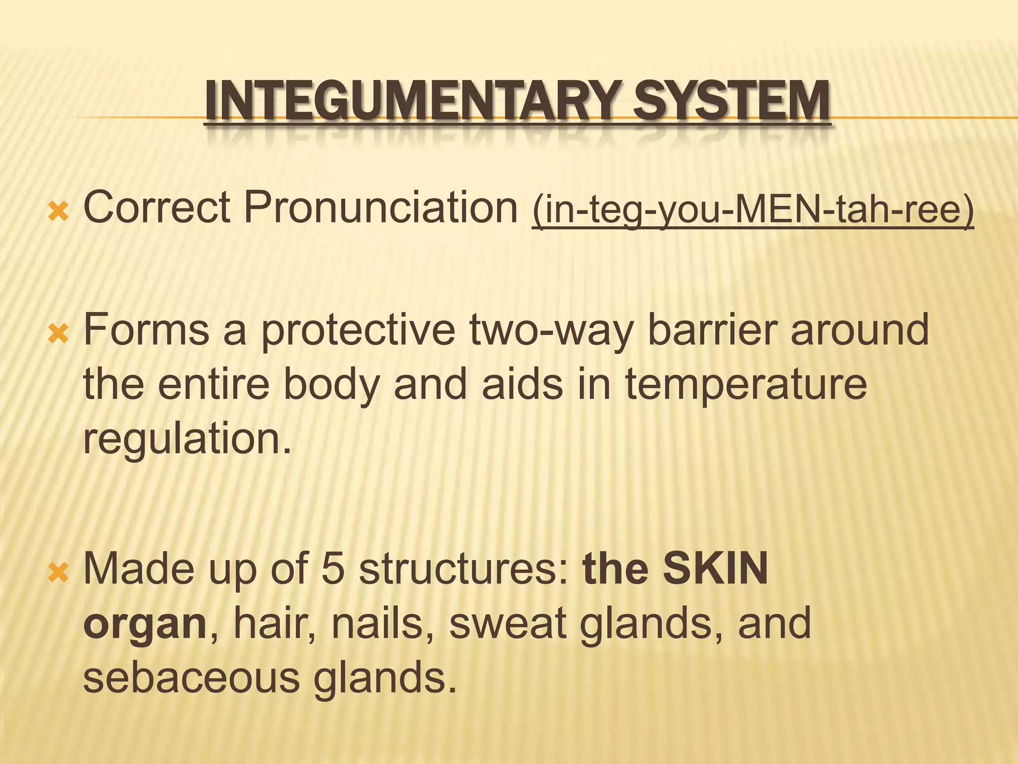 INTEGUMENTARY SYSTEM
   Correct Pronunciation (in-teg-you-MEN-tah-ree)

   Forms a protective two-way barrier around
    the entire body and aids in temperature
    regulation.

   Made up of 5 structures: the SKIN
    organ, hair, nails, sweat glands, and
    sebaceous glands.
 
