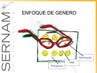 ENFOQUE DE GENERO Presupuesto PMG Planificación 