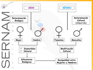 Mujer Hombre Inamovibles Natural Diferencias Biológicas Femenino Masculino Modificación Cultural Desigualdad entre Mujeres y Hombres SEXO GÉNERO Determinación Biológica Determinación Cultural (Adquirida) 