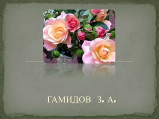 ГАМИДОВ З. А.
 