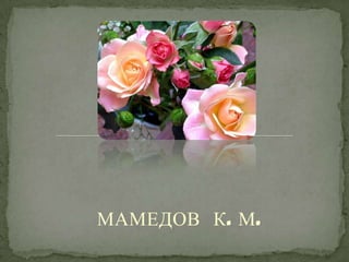 МАМЕДОВ К. М.
 