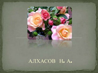АЛХАСОВ Н. А.
 