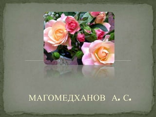 МАГОМЕДХАНОВ А. С.
 