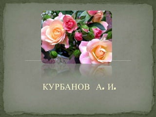 КУРБАНОВ А. И.
 