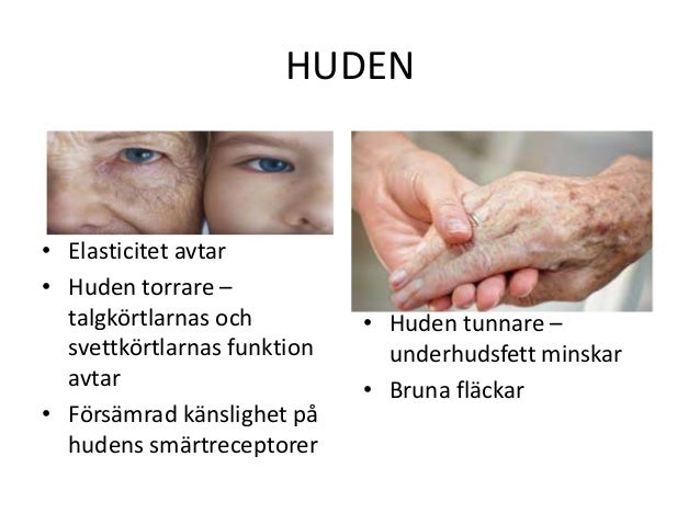 läran om huden