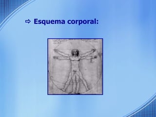    Esquema corporal: 