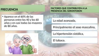 FRECUENCIA
• Aparece en el 60% de las
personas entre los 40 y los 60
años y en casi todas las mayores
de 80 años.
FACTORES QUE CONTRIBUYEN A LA
PRESENCIA DEL GERONTOXON
La edad avanzada,
Principalmente el sexo masculino,
La hipertensión sistólica,
El tabaco.
 
