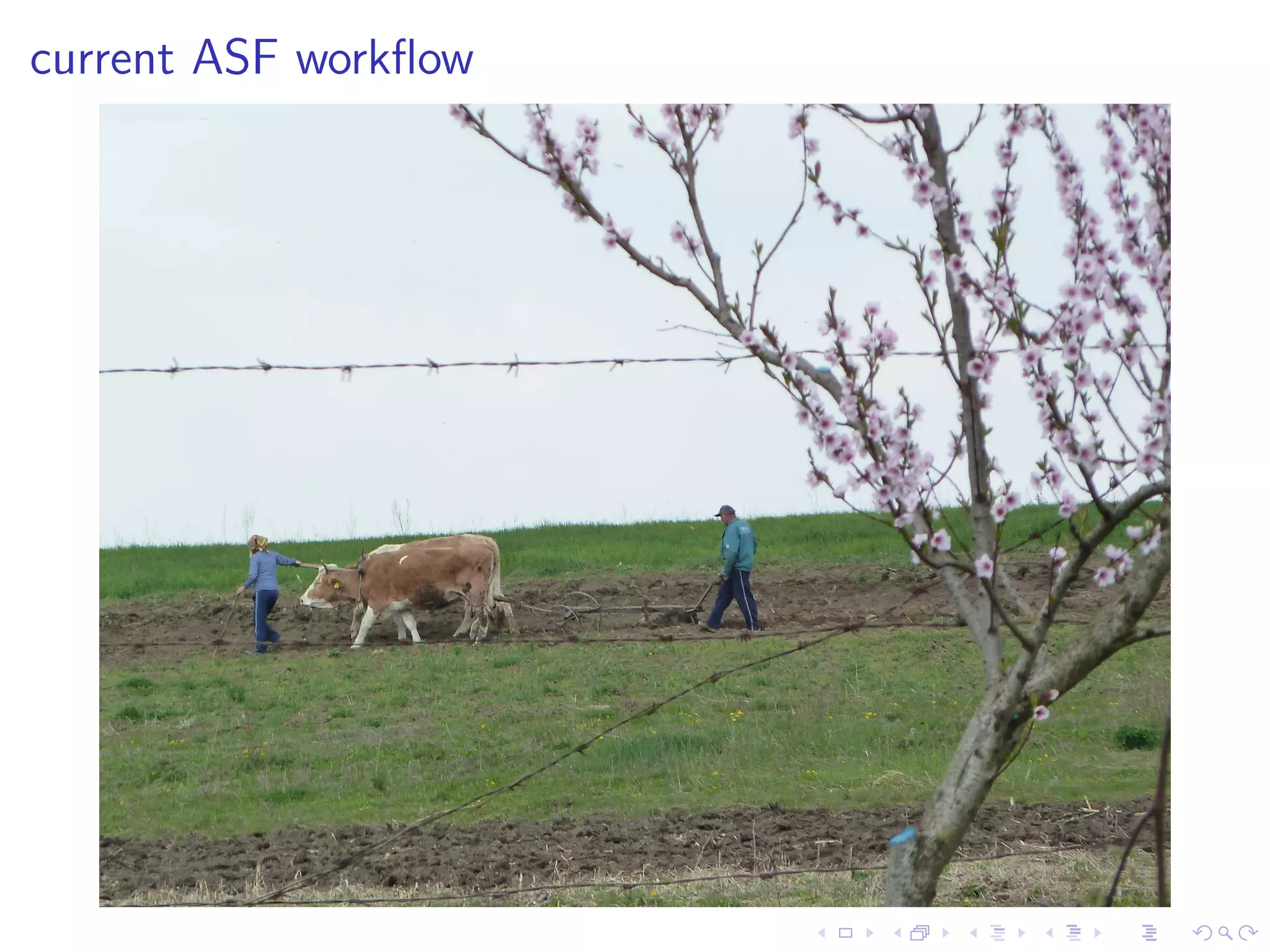 current ASF workﬂow
 