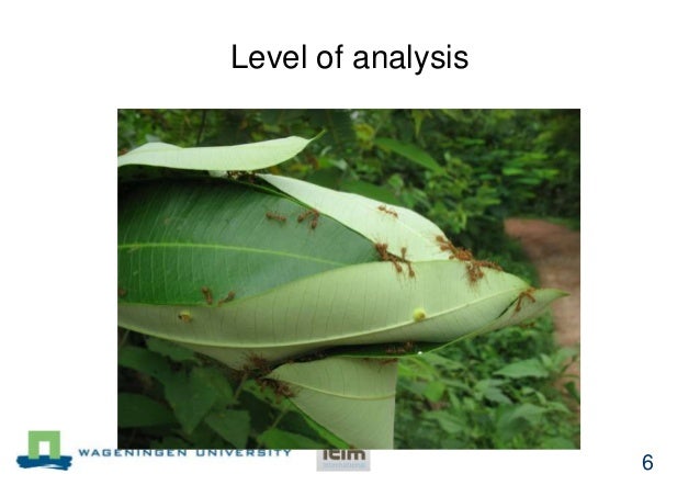 an analysis of the brains and brawns of odysseus Aero 's blog monday, may the trickster character is a character in african story telling traditions usually succeeded by his brains rather than his brawns, in. an analysis of the brains and brawns of odysseus Aero 's blog monday, may the trickster character is a character in african story telling traditions usually succeeded by his brains rather than his brawns, in.