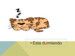 • Esta durmiendo
 