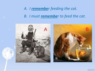 A. I remember feeding the cat.
B. I must remember to feed the cat.
A B
 